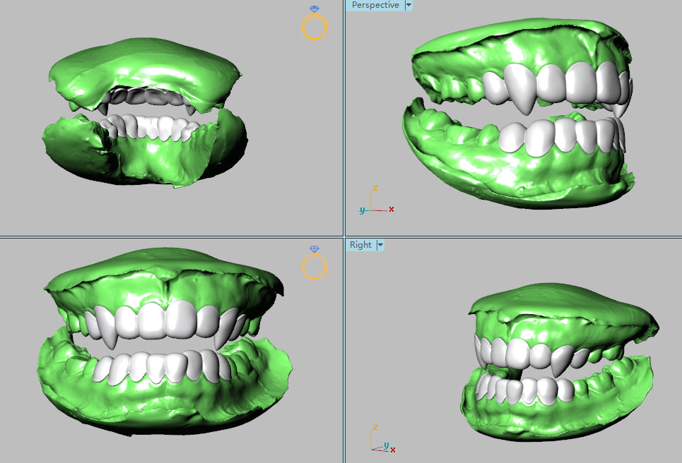 Vampire K9 Fangs Grillz